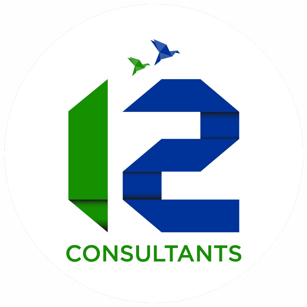 12 Consultants