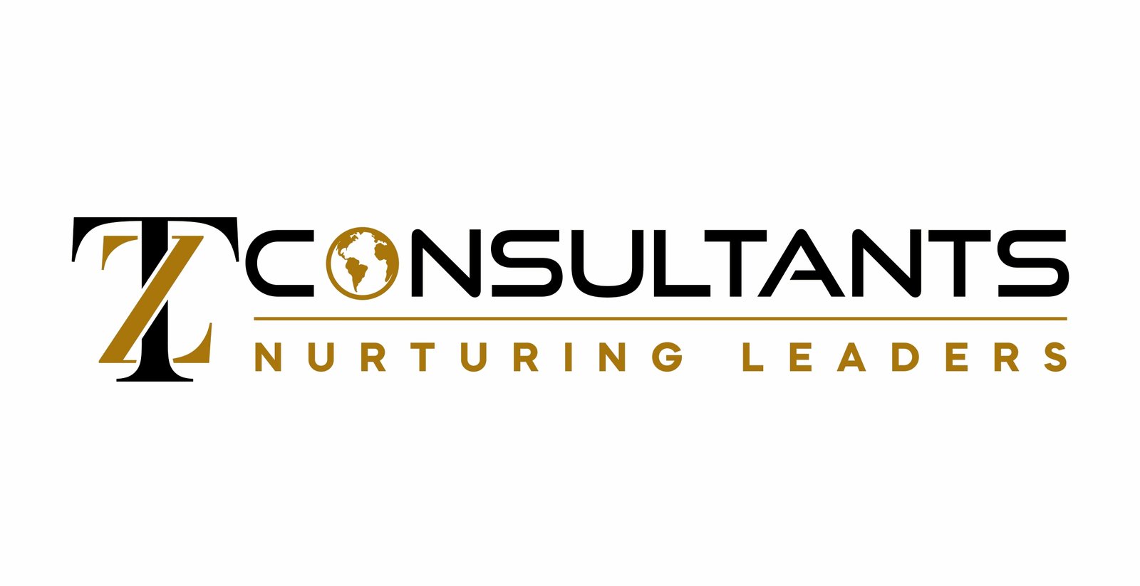 TZ Consultants